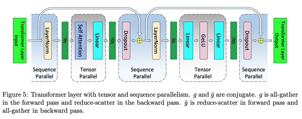 Megatron-LM Sequence Parallelism for LayerNorm